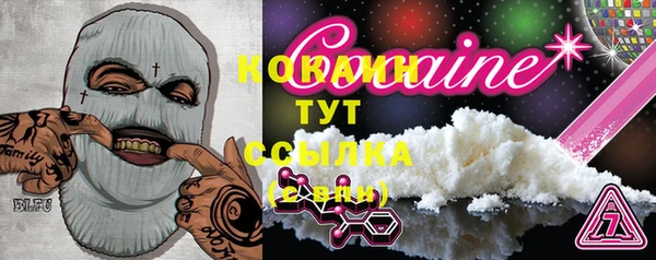 гашик Новозыбков