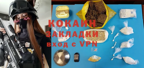 мет Няндома
